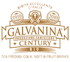 galvanina_logo